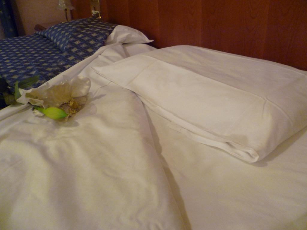 Hotel Minerva Pordenone Eksteriør billede